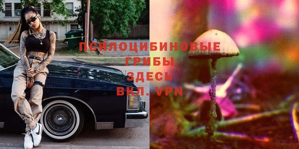 трава Алексин
