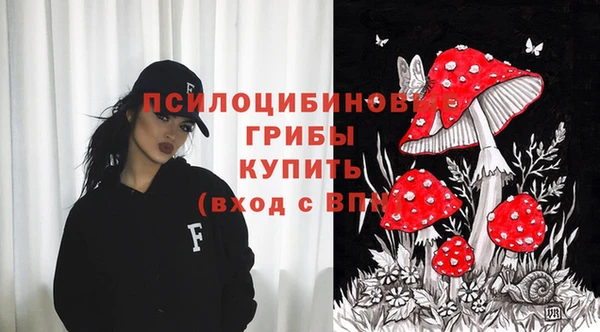 мяу мяу мука Данков