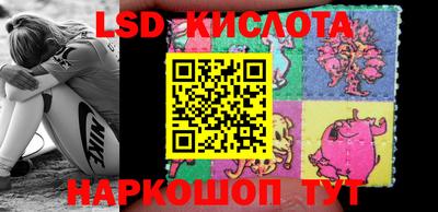 mdpv Кимры