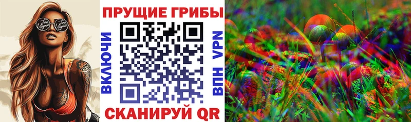 купить  цена  Ишим  Псилоцибиновые грибы ЛСД 