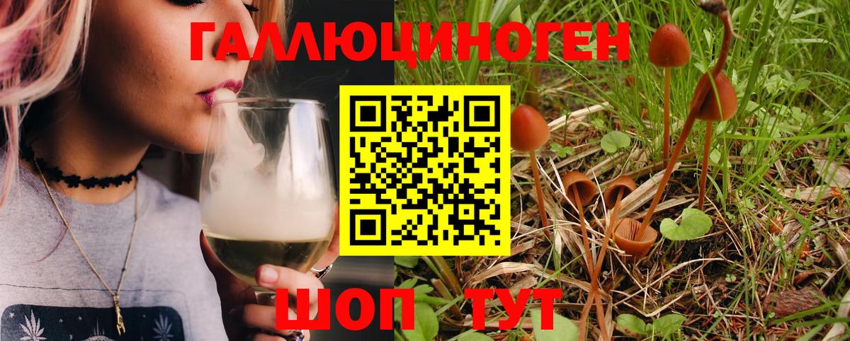 Ишим  Псилоцибиновые грибы Magic Shrooms  Вход с VPN  Псилоцибиновые грибы ЛСД 